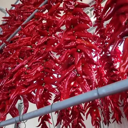 Casa Planet Semesterbostad *